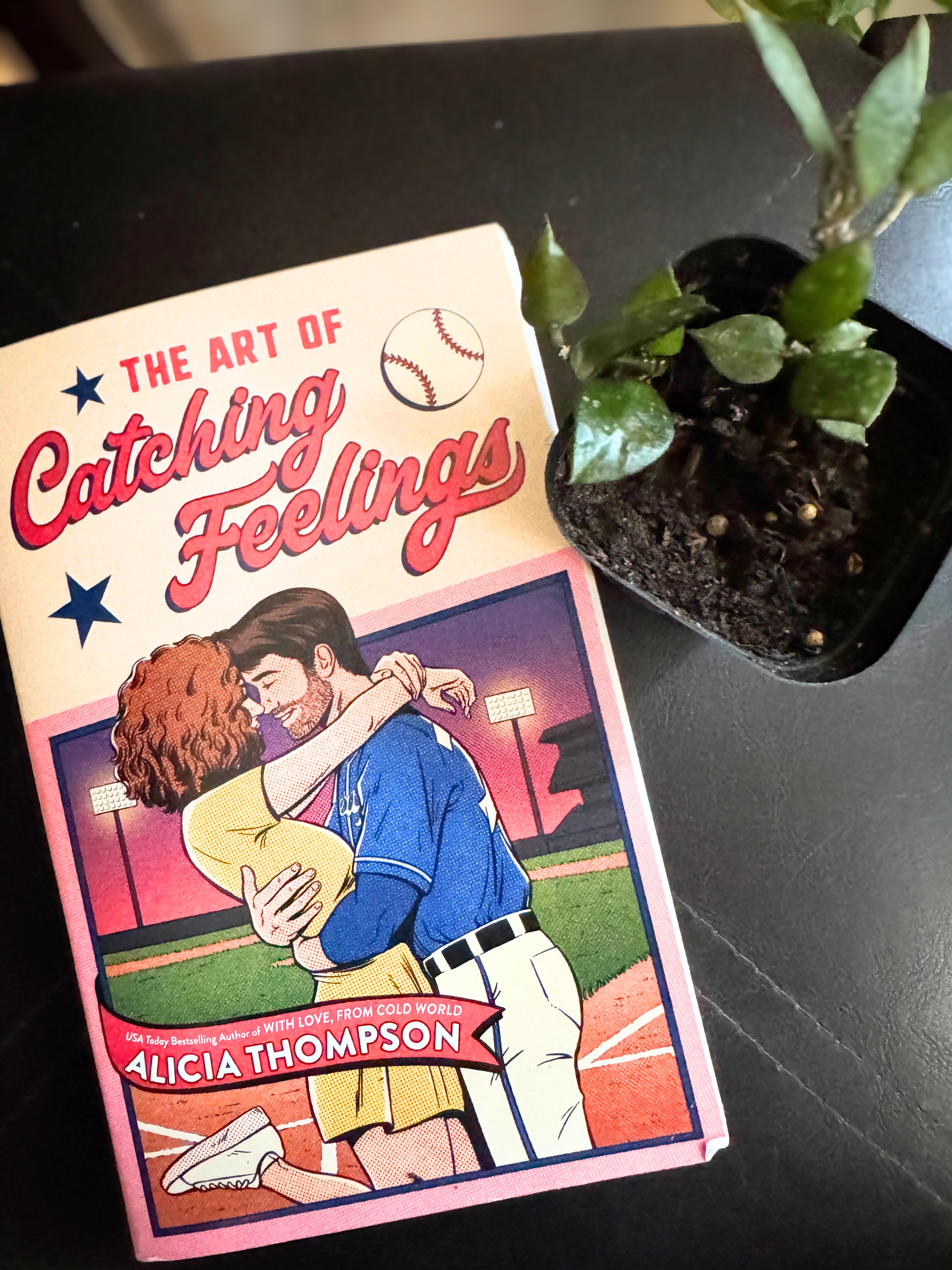 Single Book Box w/ Plant